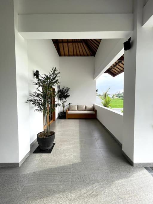 Villa Vespa Lovina Екстер'єр фото