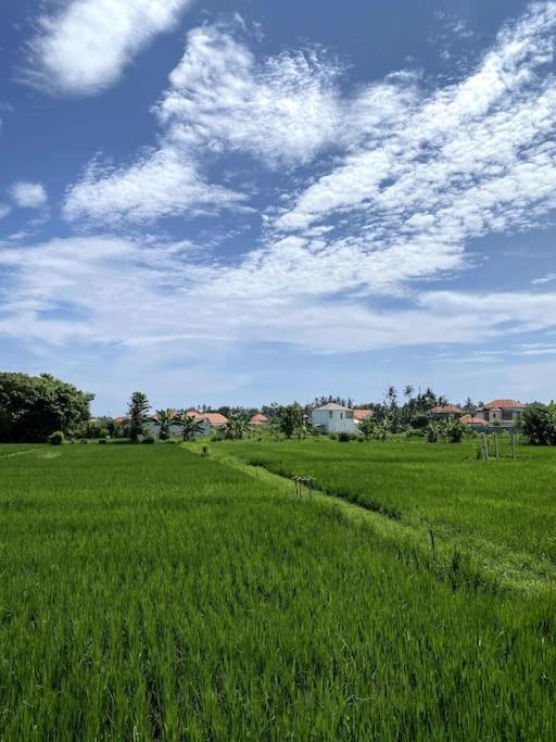 Villa Vespa Lovina Екстер'єр фото